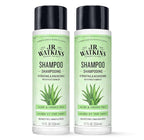 J.R. Watkins Daily Hydration Shampoo, Aloe & Green Tea - 12 fl oz (Pack of 2)