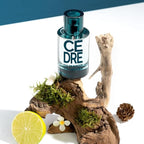 SOLINOTES Cedarwood Perfume for Men - Eau De Parfum | Refined Woody and Soothing Fragrance - Made in France - Vegan - 1.7 fl.oz