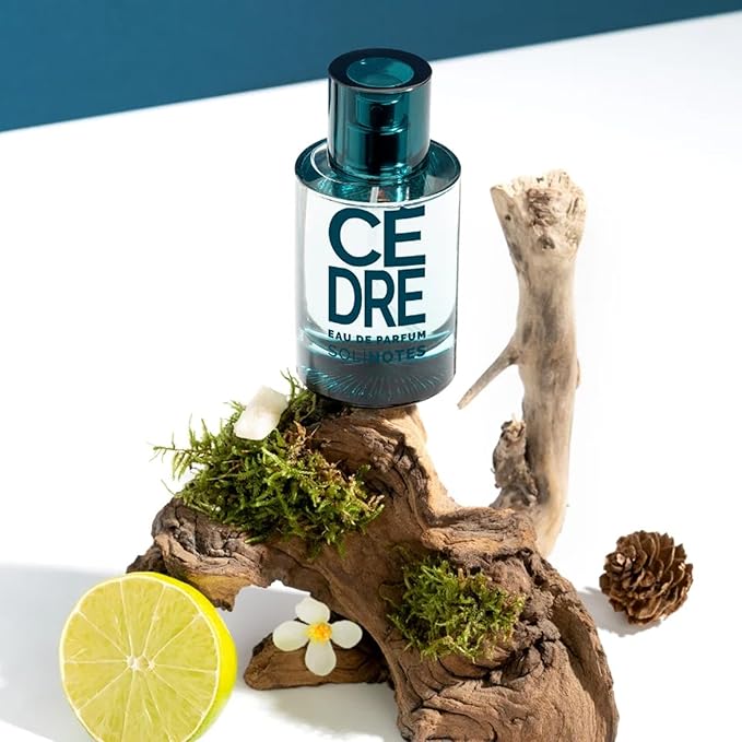 SOLINOTES Cedarwood Perfume for Men - Eau De Parfum | Refined Woody and Soothing Fragrance - Made in France - Vegan - 1.7 fl.oz
