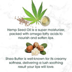Blistex Hemp & Shea Hydration, 2 count (Pack of 3)