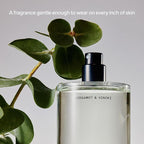 Salt & Stone Body Mist + Natural Deodorant Bundle | Bergamot & Hinoki