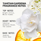 Pacifica Beauty, Wanderlust Spray Perfume Trial Set, Island Vanilla, 5 Scents, Fragrance Sampler Gift Set, Natural & Essential Oils, Clean, Vegan & Cruelty Free