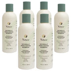 Yobee Naturally Rebalancing Shampoo | Dry, Flaky & Itchy Scalp Care with Para Probiotics, Organic Honey & Turmeric, Vitamin B12 & Oat Extracts | Dandruff & Psoriasis Relief (6 Bottles)