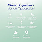 Head & Shoulders BARE Dandruff Shampoo Twin Pack, Fragrance-Free, Sensitive Scalp Care, Sulfate-Free, Silicone-Free, Dye-Free, Eco-Friendly Bottles, Safe for All Hair Types, 13.5 Fl Oz Each (Set of 2)