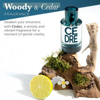 SOLINOTES Cedarwood Perfume for Men - Eau De Parfum | Refined Woody and Soothing Fragrance - Made in France - Vegan - 1.7 fl.oz