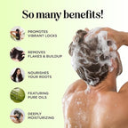 Sulfate Free Shampoo and Conditioner Set - Tea Tree Sage and Rosemary Shampoo and Conditioner for Dry Flaky Scalp Care - Deep Cleansing Color Safe Shampoo and Conditioner for Damaged Dry Hair Care