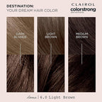 Clairol ColorStrong Permanent Zero Ammonia Hair Dye, 6.0 Light Brown - Roma Hair Color, Pack of 1