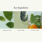 Patchouli Garden Damage Repair Shampoo - Korean Hair Care Nourishing Shampoo for Men & Women w/Patchouli Leaf Water, Protein Complex & Green Herb Complex - Vegan Scalp Cleanser (15.22 fl.oz)