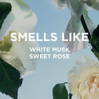 By Rosie Jane Everyday Body Milk (Rosie) - Hydrating Toner & Body Moisturizer to Help Even Skin Tone - Infused with Soothing Aloe Vera and Turmeric Root to Promote Anti-Aging (5 Ounce)