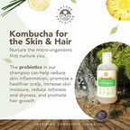 Natural Shampoo - Organic, Raw & Wildcrafted with Probiotics, Hypoallergenic Natural & Sulfate Free Shampoo for Sensitive Scalp, Dry Hair, Dandruff, Eczema & Psoriasis, 9oz, Original