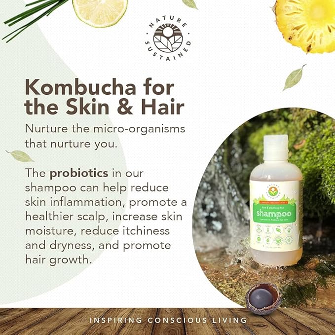 Natural Shampoo - Organic, Raw & Wildcrafted with Probiotics, Hypoallergenic Natural & Sulfate Free Shampoo for Sensitive Scalp, Dry Hair, Dandruff, Eczema & Psoriasis, 9oz, Original