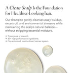 Caldera + Lab The Shampoo | Men’s Shampoo for Healthy Hair, Sulfate-Free Daily Cleanser, Dermatologically Tested - All Hair Types