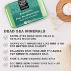 One With Nature Eucalyptus Soap 7oz 3-Pack – Rejuvenating and Exfoliating Soap Bar with Dead Sea Salt for Face & Body, for Men & Women