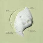 LolaVie Restorative Shampoo - 8.5 oz - Repairs Look of Damage, Protects from Breakage, Reduces Frizz for 12x Softer, Smoother Hair - Gentle, Color Safe - All Hair Types