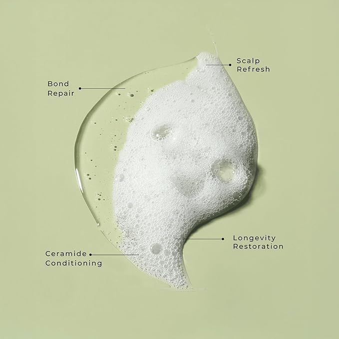 LolaVie Restorative Shampoo - 8.5 oz, 2 Pack - Repairs Look of Damage, Protects from Breakage, Reduces Frizz for 12x Softer, Smoother Hair - Gentle, Color Safe - All Hair Types