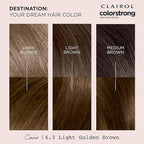 Clairol ColorStrong Permanent Zero Ammonia Hair Dye, 6.3 Light Golden Brown - Cairo Hair Color, Pack of 1