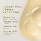 Zents Luminous Cashmere Body Oil (Anjou Fragrance) | Moisturizing Body Oil with Vitamin E & Organic Coconut Oil | Softens & Smooths Skin | 8 fl oz