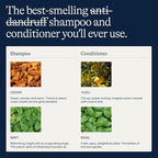 Flakes Anti Dandruff Shampoo and Conditioner Set | Dry, Flaky, & Itchy Scalp Shampoo | Sulfate & Paraben Free for Healthy Hair | Hydrating Shampoo & Moisturizing Conditioner for Scalp Care | 9 fl oz