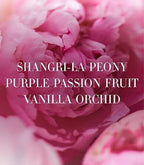 Victoria's Secret Fine Fragrance Bundle Bombshell