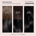 Clairol ColorStrong Permanent Zero Ammonia Hair Dye, 1.0 Black - Hawaii Hair Color, Pack of 1