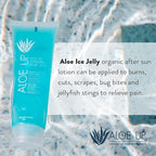 ALOE UP Ice Sunburn Relief Jelly - Pure Aloe Vera Gel Sunburn Relief for Adults & Kids, Aloe Vera Gel Face & Body, Natural Cruelty-Free Aloe Gel, Aloe Vera Gel Skin Lotion - 4 Oz (2pack)