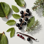 DIVAIN-346 - Inspired by Dune Pour Homme - Perfume Impression for Man - Musk Fragrance