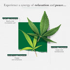 SOLINOTES Zen Meadow Perfume for Women - Eau De Parfum | Delicate Floral and Soothing Scent - Made in France - Vegan - 1.7 fl.oz