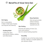 WELCOS Kwailnara California grown Aloe Vera Moisture Soothing Gel, 98% Pure, All-in-One for Face, Body, Hand, Hair, Korean Skin Care (10.14 Fl oz.)