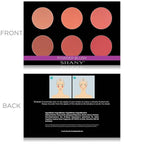 SHANY Shimmer & Matte Warm-Toned Blush Palette - Layer 6 - Refill for the 6 Layer Mini Masterpiece Collection Makeup Set