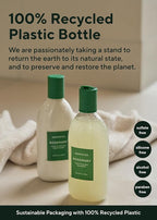 AROMATICA Rosemary Scalp Scaling Shampoo (2 packs) - Korean Hair Care with Thinning Hair Loss Natural Rosemary Essential Oil for Women Hair Growth - Free from Sulfate, Silicone, and Paraben (13.53 oz)