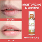 64 Pack Lip Balm, Natural Lip