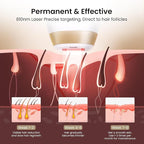 810nm Diode Laser Hair Removal for Women and Men, The FDA-Cleared Home-Use Device, Permanent Reduction in Hair Regrowth, V4S for Skin Tone 1-5, Wide-Angle 15 Mins Hair Removal for Face, Body