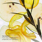 SEEN Shampoo - Scented - Non-Comedogenic & Sulfate-Free Hair Shampoo- Dermatologist-Developed - Safe for Sensitive & Acne Prone Skin