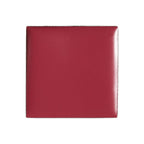 billion dollar brows Lip & Cheek Tint - Pigment