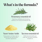 Shampoo and Conditioner for Oily Hair and Scalp - Sulfate and Paraben Free Shampoo and Conditioner Set for Oily Hair with Deep Cleansing Tea Tree Oil - Vegan Color Safe & Cruelty Free (16 Fl Oz)