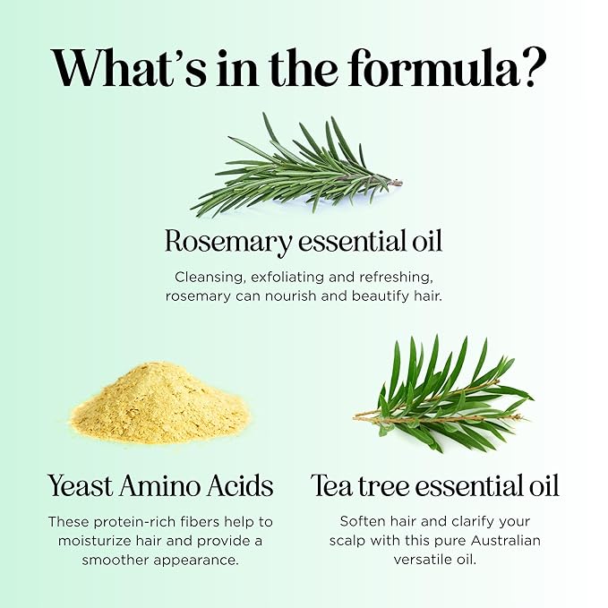 Shampoo and Conditioner for Oily Hair and Scalp - Sulfate and Paraben Free Shampoo and Conditioner Set for Oily Hair with Deep Cleansing Tea Tree Oil - Vegan Color Safe & Cruelty Free (16 Fl Oz)