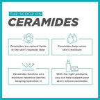 Curel Japanese Skin Care Moisturizer Repair Eye Cream, Under Eye Cream for Dry, Sensitive Skin, Fragrance Free & pH Balanced, 0.8 Oz