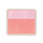 Paul & Joe Pressed Blush Palette Refill Only, Case Sold Separately, Oil-Absorbing Blush Powder, Bi-Color Face Blushes with Fitting Veil Powder, Light Pink and Light Orange, 02 Confiserie, 0.17 oz