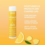 Lemon Ginger Lip Balm Collection, Vegan Lips,