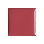 billion dollar brows Lip & Cheek Tint - Pigment