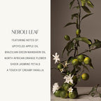 Homecourt Hand Wash, Gently Cleanses & Hydrates, Removes Dirt & Debris Without Irritating Skin, Clean Formula, Neroli Leaf, 12 fl oz