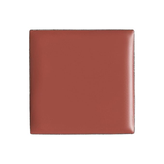 billion dollar brows Lip & Cheek Tint - Pigment