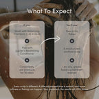 Jupiter Oil Control & Exfoliation Set, Anti-Dandruff Shampoo, Conditioner, Restoring Serum, Scalp Brush, & Purifying Mask, for Women & Men, Dermatologist-Formulated for Flaky, Itchy, Oily, & Dry Scalp