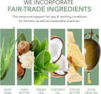 emerginC Scientific Organics Eyelight Cream - Stem Cell Eye Cream with Antioxidants - Anti-Aging Eye Cream Targets Dark Under-Eye Circles for Visible Glow (0.5 oz, 15 ml)