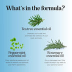 Tea Tree Mint Shampoo and Conditioner - Tea Tree Rosemary Mint Shampoo and Conditioner Set Sulfate Free for Daily Clarifying and Dry Scalp Care - Paraben and Sulfate Free Shampoo and Conditioner 16oz