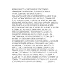 wet n wild Mega Last Rich Satin Lip Color, Rich Creamy Color with Satin Finish, Infused with Vitamin E & Moisturizing Argan Oil, Lightweight, Silky-Smooth, Vegan & Cruelty-Free - One in a Milli-Melon