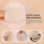 DUcare Tapered Blush Brush for Cheeks - Pointed Powder Brush for Light Application, Multi-Purpose Makeup Brushes Perfect for Highlighting, Defining, Sculpting, and Contouring