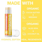 4-Pack Watermelon SPF 15 Lip Balm - Organic Ingredients, Broad Spectrum UVA/UVB Protection - Hydrating & Moisturizing, USA Made