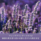 Snow Fox Skincare Goodnight Lavender Facial Cleansing Oil with Pump Top, 100 mL