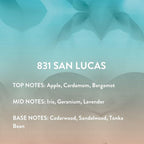 Michael Malul 831 San Lucas Eau de Parfum Gift Set - 100ml | 10ml